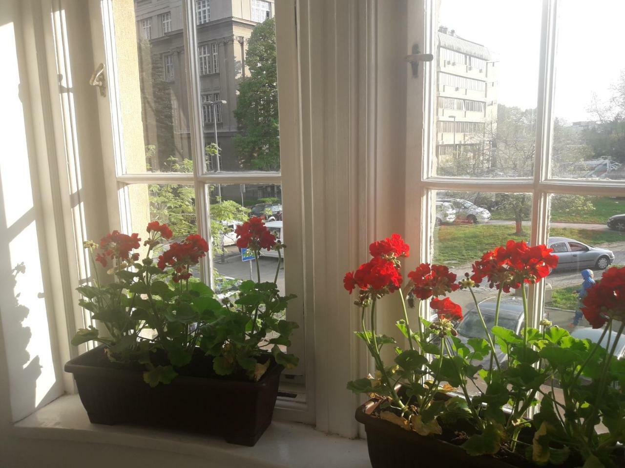 Lea Lux Apartament Belgrad